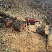 خریدار چوب هیزمی