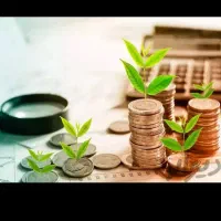 نیاز به سرمایه گذار،سرمایه‌گذاری ۱۰۰درصد تضمینی