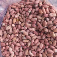 بادام زمینی