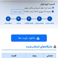 دو عدد بلیط کنسرت نوان