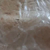 نیاز مند شاطر لواش