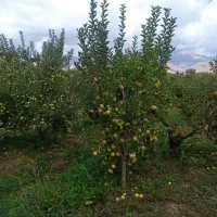 فروش زمین ۱۲۰۰ متری