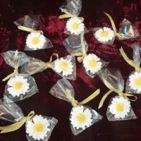 شمع  بابونه.گیفت