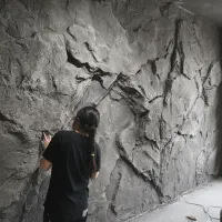 اجرای تخصصی صخره و استوکو و طرح سنگ و پتینه مدرن|خدمات پیشه و مهارت|تهران, ظفر|دیوار