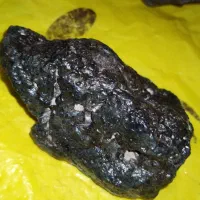 شهابسنگ|کلکسیون و سرگرمی|قم, باغ کرباسی|دیوار