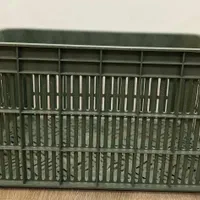 سبد ۲۰ کیلویی سردخانه ایی|عمدهفروشی|گرگان, |دیوار