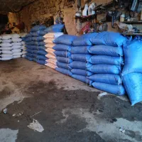 کود اوره یا بهاره