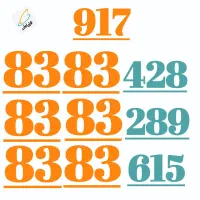 917.68.68.65.2|سیم‌کارت|شیراز, معالی‌آباد|دیوار