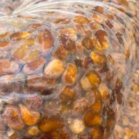 کشمش آفتابی بونات و خرما با قند بالا درجه یک|عمده‌فروشی|اصفهان, شهرک کاوه|دیوار