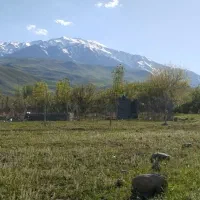 کار کشاورزی انجام میدم