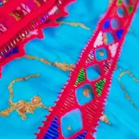 دوزنده و کریشی کارم|خدمات پیشه و مهارت|سراوان, |دیوار