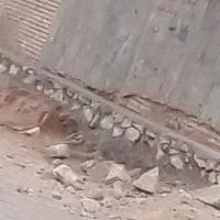 بنایی ومعماری