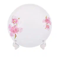 بشقاب پیش‌دستی گلدن اوپال مدل ساینا بسته ۶ عددی