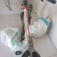 دوچرخه|دوچرخه، اسکیت، اسکوتر|اراک, |دیوار