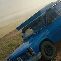 حمل بار کیوی از باغ در لیسار و جوکندان