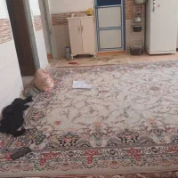 یک باب منزل مسکونی بصورت رهن