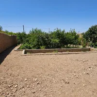 فروش یک قطعه باغ در شهیدیه|فروش زمین و ملک کلنگی|میبد, |دیوار