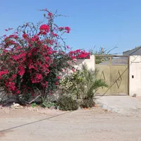اجاره روزانه/هفتگی/ماهانه بندرلنگه بندرتاریخی کنگ|اجارهٔ کوتاه‌مدت آپارتمان و سوئیت|بندرعباس, |دیوار