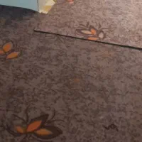 موکت برا فروش