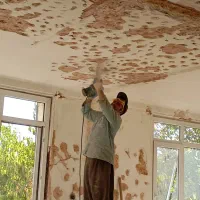 کارگر ساختمانی و مقنی