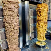 سالنکار و گارسون