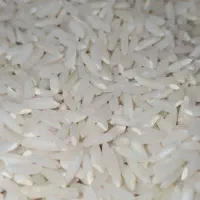 برنج طارم فقط۱۹۸تومان|خوردنی و آشامیدنی|تبریز, |دیوار