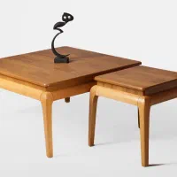 جلو مبلی و عسلی