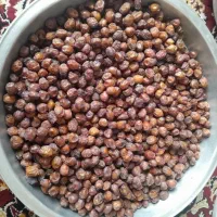 فروش خرما خاصویی