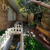 ویودار-واقعی-غرق-نور