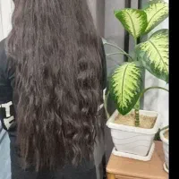 گلدان نیه (قژاسینم مو)