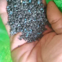 کود سیاه مخصوص کشاورزی‌|گل و گیاه طبیعی|چمران, |دیوار