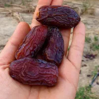 خرما و رطب