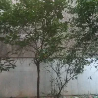 توانیر ۱۶۵متر ۳ خوابه  تکواحدی
