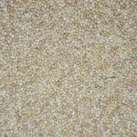 ارزن (گارس) آب  شیرین خورده لتحر