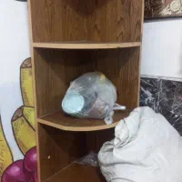 قفسه سه کنجی