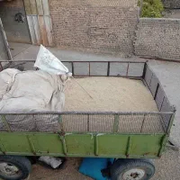 جو دیم بذری|عمده‌فروشی|سیلاخور, |دیوار