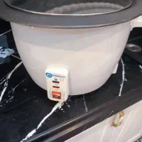 پلو پز برقی