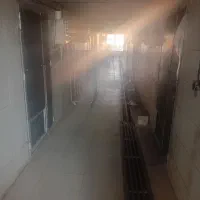 اجاره کارگاه پرورش قارچ|اجارهٔ دفتر صنعتی، کشاورزی، تجاری|شهرکرد, |دیوار