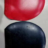 رویه راکت بلوتمپتیشن (blue temptation)