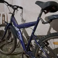 دوچرخه|دوچرخه، اسکیت، اسکوتر|رشت, پیرکلاچای|دیوار