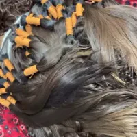 خریدار و صادر کننده مو طبیعی در استان