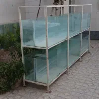آکواریوم