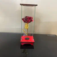 گل رز جاودان مصنوعی|گل مصنوعی|قم, سالاریه|دیوار