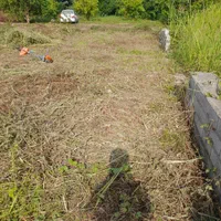 تمیزکردن باغ