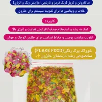 انواع نژاد حلزون و انواع ملزومات نگهداری|لوازم جانبی حیوانات|اهواز, شهرک حفاری|دیوار