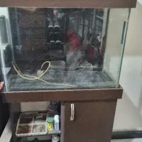 آکواریوم همراه کمد و درب چوبی