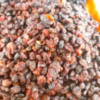 آلو خوانساری گردو سبز گردو خشک پارساله بادام|خوردنی و آشامیدنی|قم, جمکران|دیوار