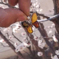 پلاک معاوضه با قلیون یا قلیان