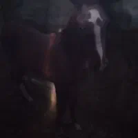 کره کرند مادیون معاوضه کری سهیل مریخ