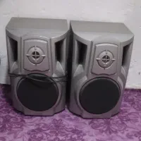 یک جفت باند خانگی